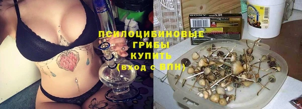 PSILOCYBIN Белокуриха