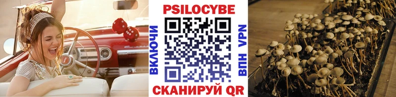 где можно купить   Малая Вишера  omg ONION  Псилоцибиновые грибы GOLDEN TEACHER 